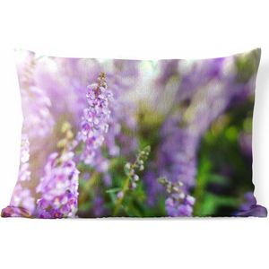 Buitenkussens - Tuin - Close up van hele lavendel in een veld - 50x30 cm