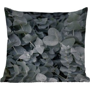 Buitenkussen - Natuur - Planten - Eucalyptus - Bladeren - 45x45 cm - Weerbestendig
