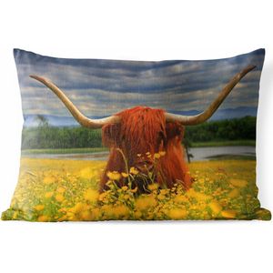 Buitenkussens - Tuin - Schotse hooglander met grote hoorns - 60x40 cm