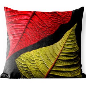 Buitenkussens - Tuin - Rood en groen blad op zwarte achtergrond - 60x60 cm