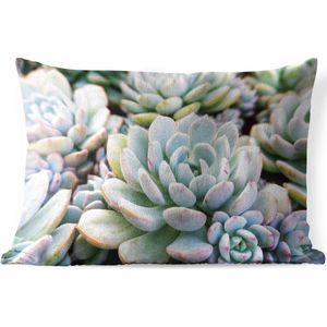 Buitenkussens - Tuin - Lichtblauwe en paarse verplanten - 60x40 cm