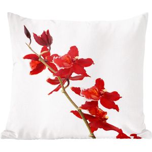 Sierkussens - Kussen - Rode orchideeën voor een witte achtergrond - 60x60 cm - Kussen van katoen