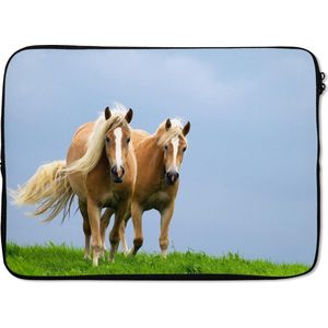 Laptophoes 13 inch 34x24 cm - Paarden - Macbook & Laptop sleeve Twee nieuwsgierige paarden - Laptop hoes met foto