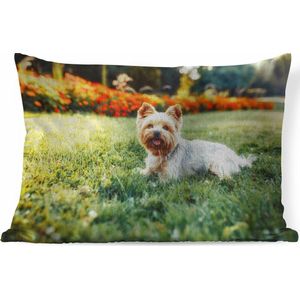 Sierkussen Yorkshire Terrier voor binnen - Schattige Yorkshire Terrier ligt lekker in het groene gras - 60x40 cm - rechthoekig binnenkussen van katoen