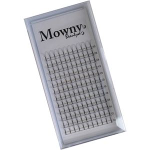 Mowny Beauty - Wimperextensions - 4D Premade Fans - 13mm 0,07mm D-krul - Natuurlijke Wimperextensions - Russisch Volume