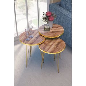 Bijzettafels- Salontafel Set | Set van 3 | Luxe design | Bijzettafel | Sofa tafel | Woonkamer tafel I Goud & Walnoot kleur