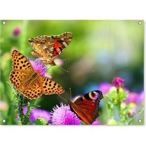 tuinposter - 90x65cm - dieren - kleurige kleurrijke vlinders