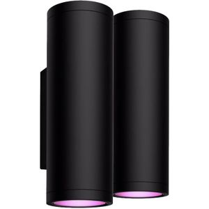 Philips Hue Appear muurlamp White and Color Zwart 2-pack