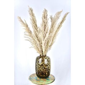 Pampas Pluimen - droogbloemen pluimen - 100 cm - 10 stuks - Natuurlijk Bloemen