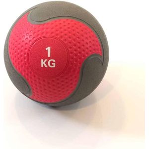 Medicijnballen Muscle Power 1-10 kg