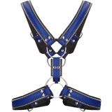 Z Series Scottish Harness - Leather - Black/Blue - S/M