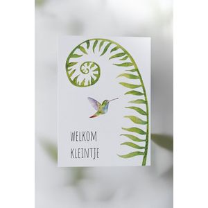 Welkom kleintje - Wenskaart - Studio Mintt