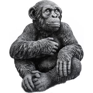 Tuinbeeld aap chimpansee zwart/ gepattineerd- Decoratie voor binnen/buiten - Beton