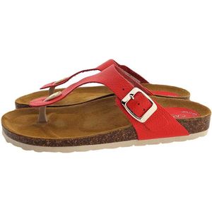 Casarini - C24502 Slippers - Suede Voetbed - Leren Banden Met Gesp