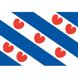 Drentse vlag 120x180cm