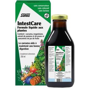 Floradix, IntestCare, 250ml