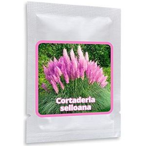 Pampagras ca.150 zaden - Cortaderia selloana - Robuust siergras voor in de tuin of als blikvanger op balkon en terras