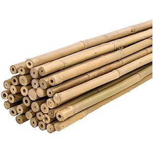PLANTAWA Bamboe-tutoren, bamboe-tutoren Ø 6-8 mm, verpakking 25 stuks, landbouwgebruik voor het bevestigen van planten, groenten en bomen (120 cm)