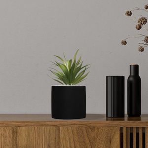Silumen Vetplant Met Marmeren Pot - 18 cm - Kunststof