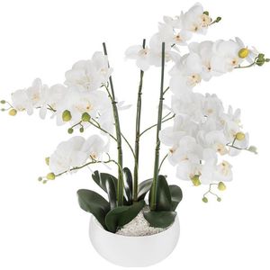 65cm kunstmatige orchidee met keramische pot - effen kleur - Overig - wit - zwart - Wit - SILUMEN