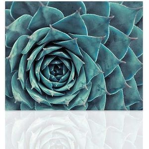 Declea Evergreen schilderij, moderne plantenprint, woonkamermeubels, print op canvas van 100% katoen