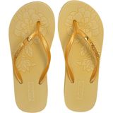 Beachyfeet - Almudena - Teenslipper - Goudkleurig - Sleehak
