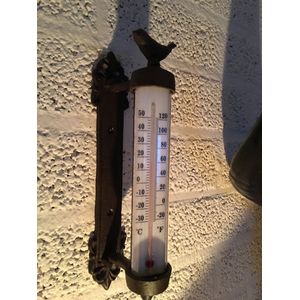 Gietijzeren frame + vogel met glazen thermometer, prachtig klassiek !!