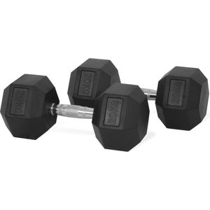 Hexagon Dumbbell - 1 x 20 KG - Zilver / Zwart -  Fitness / Crossfit