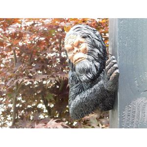 Een aap voor aan de wand, dierenbeeld van een aap, kijkend in de verte