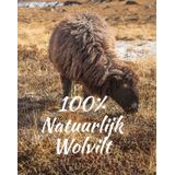 Tofvel - Rabara - Pantoffels - Grijs - Wolvilt