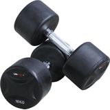 Lifemaxx FIXED DUMBBELL 12KG