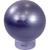 Lifemaxx Gymball - Anti-Burst Fitnessball - 75 cm - Zilver