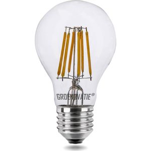 E27 LED Filament lamp 6W Warm Wit Dimbaar