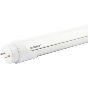 Groenovatie LED TL T8 - Buis - 10W - 60 cm - 1200 Lumen - 830 Warm Wit - Incl. Starter