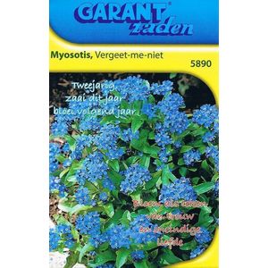 Vergeet-me-nietje zaden Myosotis (100 STUKS)