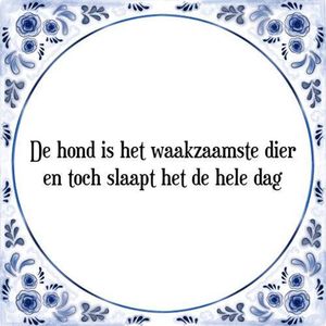 Tegeltje met Spreuk (Tegeltjeswijsheid): De hond is het waakzaamste dier en toch slaapt het de hele dag + Kado verpakking & Plakhanger