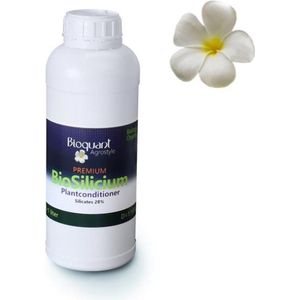 BioQuant, BioSillicium 1liter