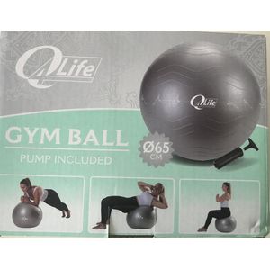 Professionele Opblaasbare Zilveren/blauw/roze Fitnessbal Ø 65 cm - Inclusief Pomp