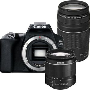 Canon EOS 250D + 18-55mm DC III + 75-300mm III