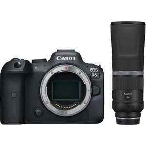 Canon EOS R6 body + RF 800mm F/11.0 IS STM