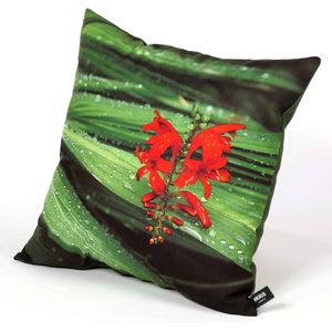 HUGS buitenkussen | 50x50 | rode bloem op groen | outdoor kussen | uniek tuinkussen | terras aankleding | waterafstotend