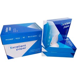 Printpapier E-paper A4 - 80 grams - 5 pakken met 500 vellen