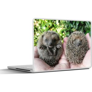 Laptop sticker - 12.3 inch - Twee babyegels - 30x22cm - Laptopstickers - Laptop skin - Cover