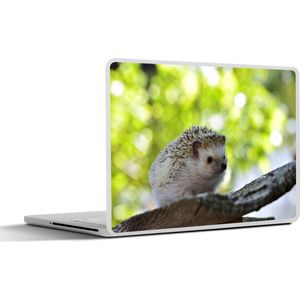 Laptop sticker - 13.3 inch - Kleine egel in boom - 31x22,5cm - Laptopstickers - Laptop skin - Cover