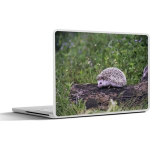 Laptop sticker - 10.1 inch - Egel op boomstronk - 25x18cm - Laptopstickers - Laptop skin - Cover