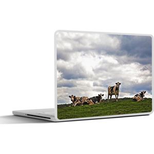 Laptop sticker - 11.6 inch - Koeien - Weide - Wolken - 30x21cm - Laptopstickers - Laptop skin - Cover