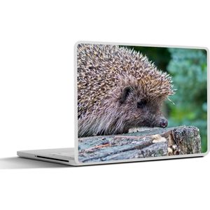 Laptop sticker - 17.3 inch - Egel op boom - 40x30cm - Laptopstickers - Laptop skin - Cover