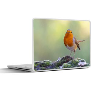 Laptop sticker - 12.3 inch - Stenen - Roodborstje - Natuur - 30x22cm - Laptopstickers - Laptop skin - Cover