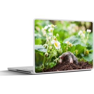Laptop sticker - 10.1 inch - Dier - Tuin - Mol - 25x18cm - Laptopstickers - Laptop skin - Cover