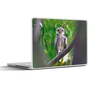 Laptop sticker - 13.3 inch - Uil zittend op tak - 31x22,5cm - Laptopstickers - Laptop skin - Cover